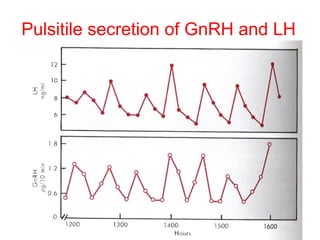 Pulsitile secretion of GnRH and LH

 