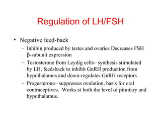 Regulation of LH/FSH
• Negative feed-back
– Inhibin produced by testes and ovaries Decreases FSH
β-subunit expression
– Testosterone from Leydig cells– synthesis stimulated
by LH, feedsback to inhibit GnRH production from
hypothalamus and down-regulates GnRH receptors
– Progesterone– suppresses ovulation, basis for oral
contraceptives. Works at both the level of pituitary and
hypothalamus.

 