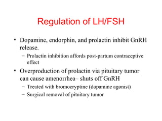 Regulation of LH/FSH
• Dopamine, endorphin, and prolactin inhibit GnRH
release.
– Prolactin inhibition affords post-partum contraceptive
effect

• Overproduction of prolactin via pituitary tumor
can cause amenorrhea– shuts off GnRH
– Treated with bromocryptine (dopamine agonist)
– Surgical removal of pituitary tumor

 