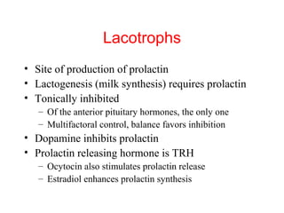 Lacotrophs
• Site of production of prolactin
• Lactogenesis (milk synthesis) requires prolactin
• Tonically inhibited
– Of the anterior pituitary hormones, the only one
– Multifactoral control, balance favors inhibition

• Dopamine inhibits prolactin
• Prolactin releasing hormone is TRH
– Ocytocin also stimulates prolactin release
– Estradiol enhances prolactin synthesis

 