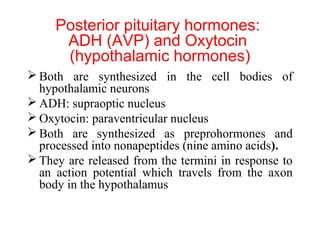 Posterior pituitary hormones:
ADH (AVP) and Oxytocin
(hypothalamic hormones)
 Both are synthesized in the cell bodies of
hypothalamic neurons
 ADH: supraoptic nucleus
 Oxytocin: paraventricular nucleus
 Both are synthesized as preprohormones and
processed into nonapeptides (nine amino acids).
 They are released from the termini in response to
an action potential which travels from the axon
body in the hypothalamus

 