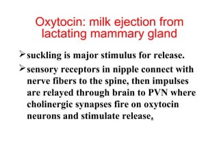 Oxytocin: milk ejection from
lactating mammary gland
 suckling is major stimulus for release.
 sensory receptors in nipple connect with
nerve fibers to the spine, then impulses
are relayed through brain to PVN where
cholinergic synapses fire on oxytocin
neurons and stimulate release.

 