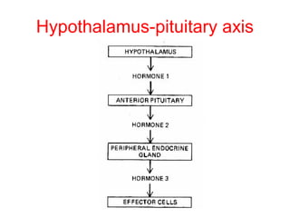 Hypothalamus-pituitary axis

 