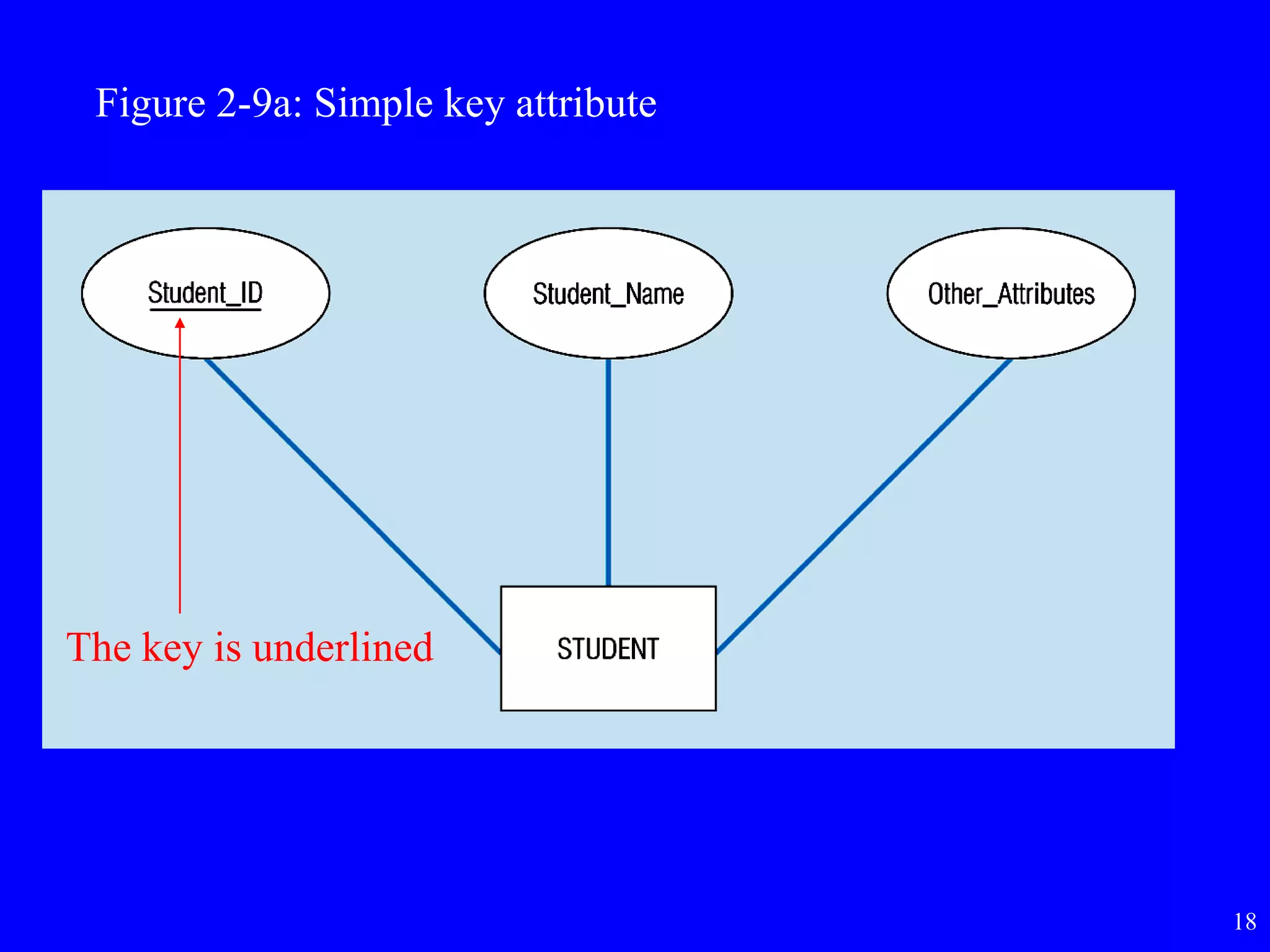 18
Figure 2-9a: Simple key attribute
The key is underlined
 