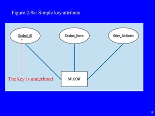 18
Figure 2-9a: Simple key attribute
The key is underlined
 