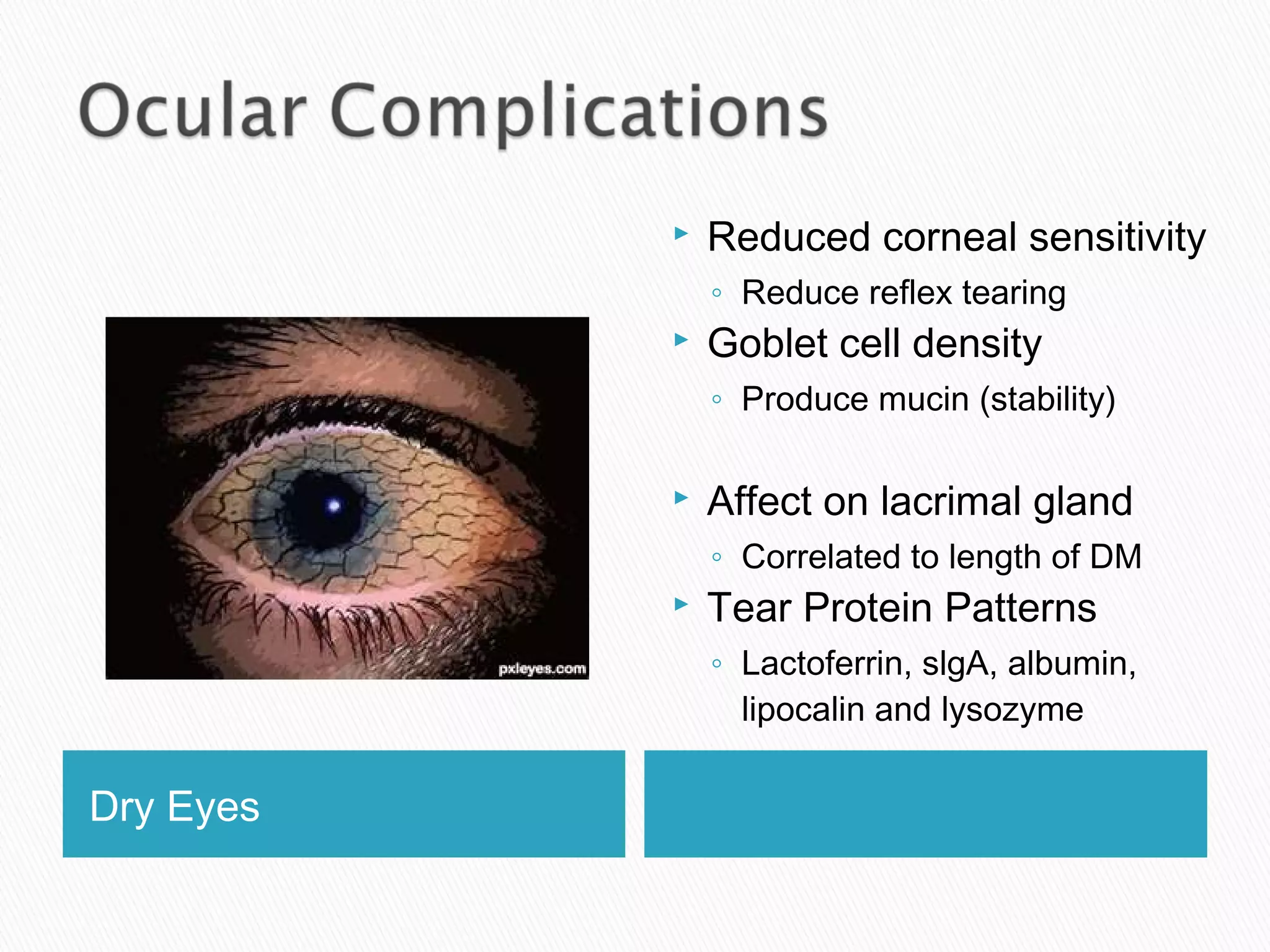 Dry Eyes
 Reduced corneal sensitivity
◦ Reduce reflex tearing
 Goblet cell density
◦ Produce mucin (stability)
 Affect on lacrimal gland
◦ Correlated to length of DM
 Tear Protein Patterns
◦ Lactoferrin, slgA, albumin,
lipocalin and lysozyme
 