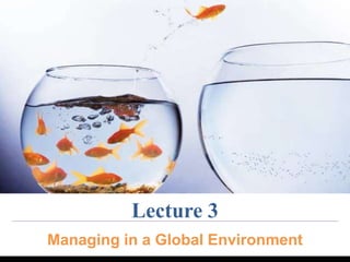 Lecture 3 
Managing in a Global Environment 
 