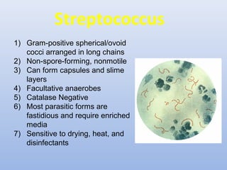 Streptococcus 
1) Gram-positive spherical/ovoid 
cocci arranged in long chains 
2) Non-spore-forming, nonmotile 
3) Can form capsules and slime 
layers 
4) Facultative anaerobes 
5) Catalase Negative 
6) Most parasitic forms are 
fastidious and require enriched 
media 
7) Sensitive to drying, heat, and 
disinfectants 
 