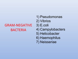 1) Pseudomonas 
2) Vibrios 
3) E.coli 
4) Campylobacters 
5) Helicobacter 
6) Haemophilus 
7) Neisseriae 
GRAM-NEGATIVE 
BACTERIA 
 