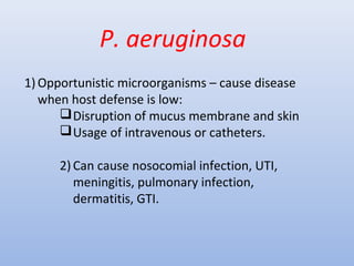 P. aeruginosa 
1)Opportunistic microorganisms – cause disease 
when host defense is low: 
Disruption of mucus membrane and skin 
Usage of intravenous or catheters. 
2) Can cause nosocomial infection, UTI, 
meningitis, pulmonary infection, 
dermatitis, GTI. 
 