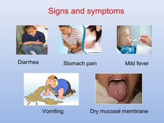 Signs and symptoms 
Diarrhea Stomach pain Mild fever 
Vomiting Dry mucosal membrane 
 