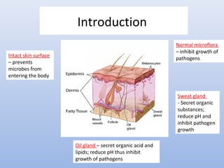 Introduction 
Intact skin surface 
– prevents 
microbes from 
entering the body 
Normal microflora 
– inhibit growth of 
pathogens 
Oil gland – secret organic acid and 
lipids; reduce pH thus inhibit 
growth of pathogens 
Sweat gland 
- Secret organic 
substances; 
reduce pH and 
inhibit pathogen 
growth 
 