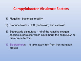 Campylobacter Virulence Factors 
1) Flagellin - bacteria's motility 
2) Produce toxins - LPS (endotoxin) and exotoxin 
3) Superoxide dismutase - rid of the reactive oxygen 
species superoxide which could harm the cell's DNA or 
membrane factors 
4) Siderophores – to take away iron from iron-transport 
protein 
 
