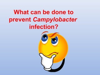 What can be done to 
prevent Campylobacter 
infection? 
 