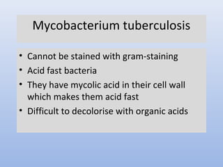 Mycobacterium tuberculosis 
• Cannot be stained with gram-staining 
• Acid fast bacteria 
• They have mycolic acid in their cell wall 
which makes them acid fast 
• Difficult to decolorise with organic acids 
 