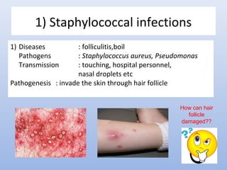 1) Staphylococcal infections 
1) Diseases : folliculitis,boil 
Pathogens : Staphylococcus aureus, Pseudomonas 
Transmission : touching, hospital personnel, 
nasal droplets etc 
Pathogenesis : invade the skin through hair follicle 
How can hair 
follicle 
damaged?? 
 