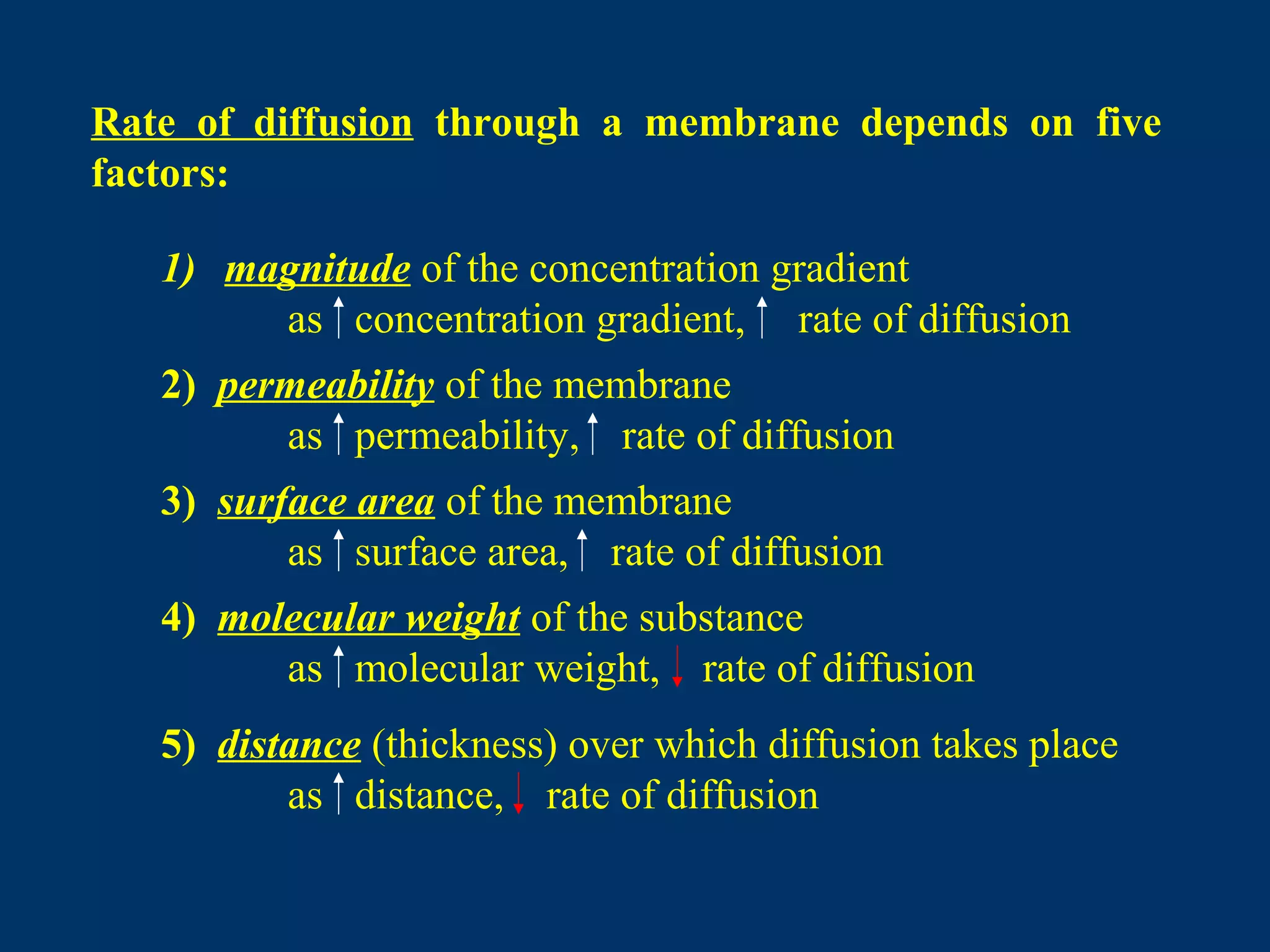 Rate of diffusion through a membrane depends on five
factors:
1) magnitude of the concentration gradient
as concentration gradient, rate of diffusion
2) permeability of the membrane
as permeability, rate of diffusion
3) surface area of the membrane
as surface area, rate of diffusion
4) molecular weight of the substance
as molecular weight, rate of diffusion
5) distance (thickness) over which diffusion takes place
as distance, rate of diffusion
 