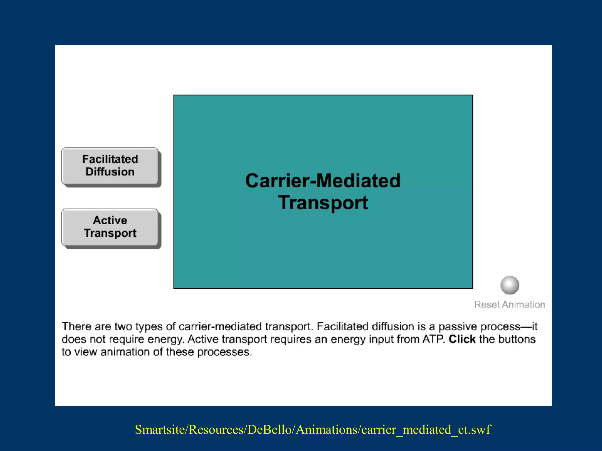 Smartsite/Resources/DeBello/Animations/carrier_mediated_ct.swf
 
