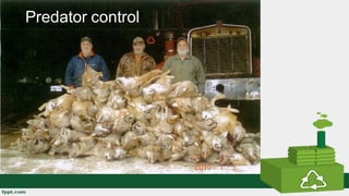 Predator Control Definition Evolution and Behavior of Species | PDF