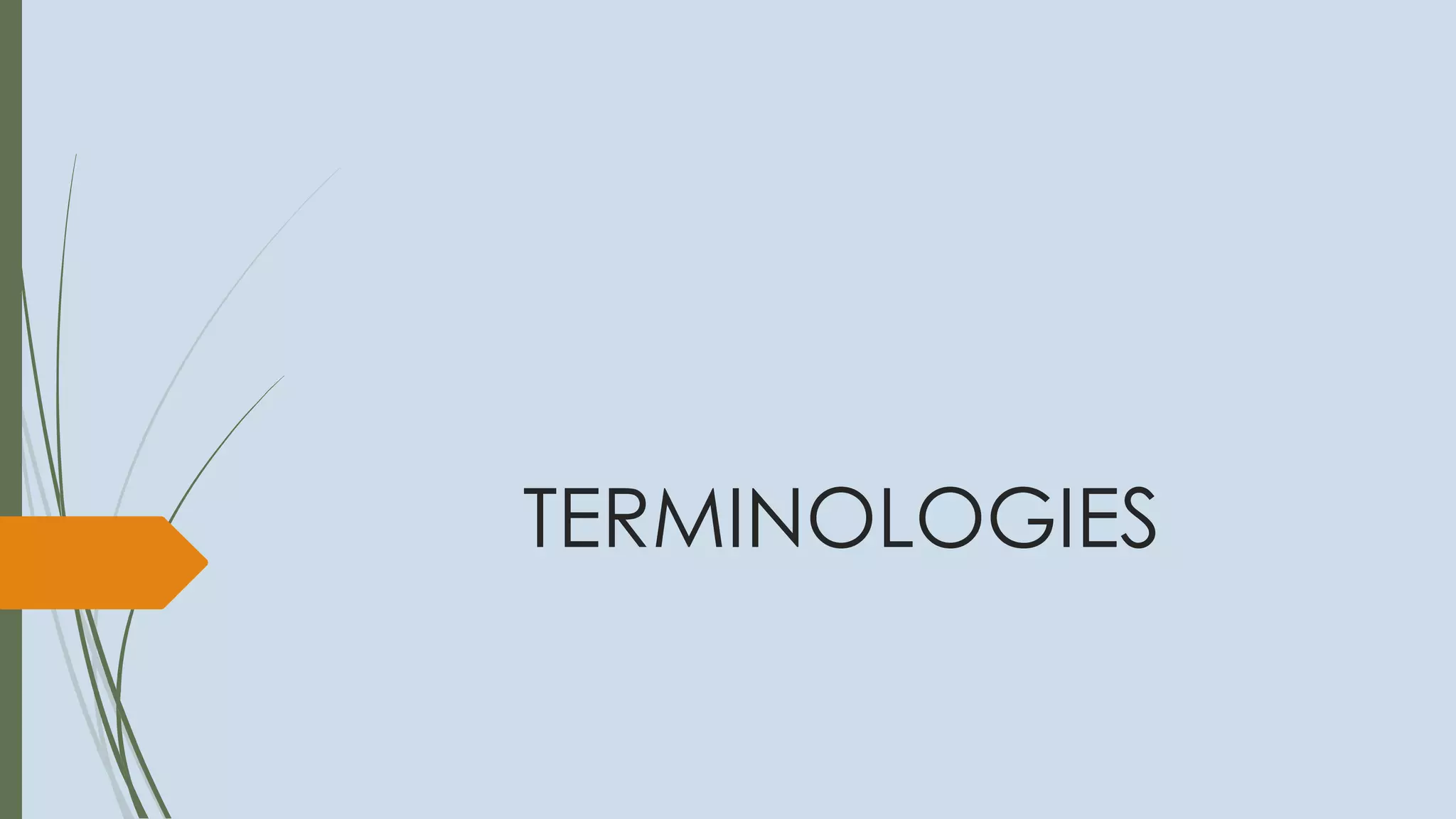 TERMINOLOGIES
 