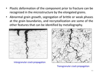Metallography Segregation Failure Analysis : Laboratory studies | PPTX