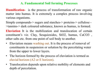 The Humification Process weathering of Rocks and minerals | PPTX