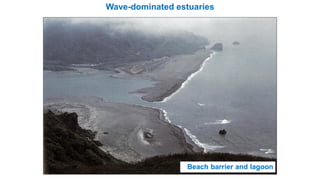 Wave-dominated estuaries
Beach barrier and lagoon
 