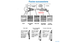 OR BAYHEADDELTA
FORMED BY RIVER
Facies successions
Allen (1991)
 