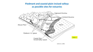 Piedmont and coastal-plain incised valleys
as possible sites for estuaries
Video 3
Zaitlin et al., (1994)
 