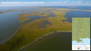 The Mississippi delta: a river-dominated system
 