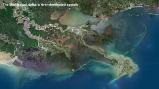 The Mississippi delta: a river-dominated system
 