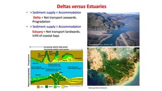 • > Sediment supply < Accommodation
Delta = Net transport seawards.
Progradation
• < Sediment supply > Accommodation
Estuary = Net transport landwards.
Infill of coastal bays
Mawddach Estuary, (Wales, UK)
Mekong Delta (Vietnam)
Deltas versus Estuaries
 