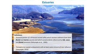 Estuaries
Definitions:
 Seaward portion of a drowned incised valley which receives sediment from both
fluvial and marine sources and which contains facies influenced by tide, wave
and fluvial processes (Dalrymple et al., 1992);
 Transgressive coastal embayments with at least some amount of river influence
(Dalrymple, 2010)
 