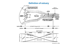Definition of estuary
Dalrympleet al. (1992)
 