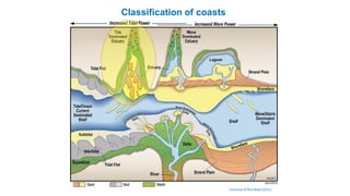 Courtesy of Ron Boyd (2011)
Classification of coasts
 