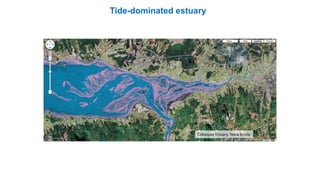 Cobequid Estuary, Nova Scotia
Tide-dominated estuary
 