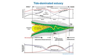 Tide-dominated estuary
Dalrympleand Choi (2007)
Zone 3 Zone 2 Zone 1
 