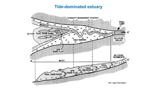 Tide-dominated estuary
UFR = Upper Flow Regime
 