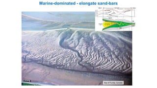 Marine-dominated - elongate sand-bars
Bay of Fundy, Canada
Zone 3
Zone 3
 