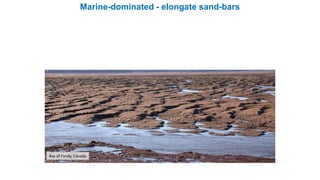 Bay of Fundy, Canada
Marine-dominated - elongate sand-bars
 