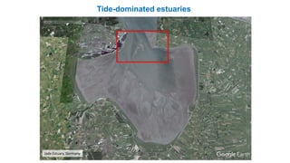 Tide-dominated estuaries
Jade Estuary, Germany
 