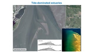 Tide-dominated estuaries
Jade Estuary, Germany
Tidal sand bar
Reineck, 1963
 