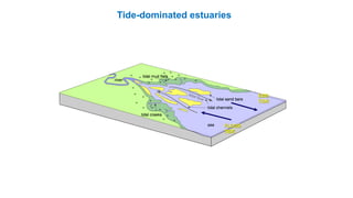FLOOD
TIDE
EBB
TIDE
Tide-dominated estuaries
 