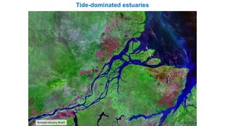 Tide-dominated estuaries
Amazon estuary, Brasil
 