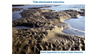 Tide-dominated estuaries
Sand deposited on bars in tidal channels
 