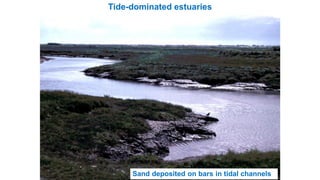Tide-dominated estuaries
Sand deposited on bars in tidal channels
 