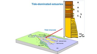 Tidal creeks
Mudflats
Tide-dominated estuaries
Tidal channels
 