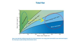 Open-coast tidal flats shifting temporally from tide-dominated or mix-energy (tide-dominated) to wave-dominated regimes
for a few days to weeks during summer/winter storms
Tidal flat
 