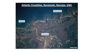 Tidal creeks
Tidal bars
Tidal channels
 