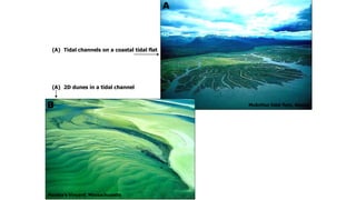 McArthur tidal flats, Alaska
(A) Tidal channels on a coastal tidal flat
(A) 2D dunes in a tidal channel
A
B
Martha’s Vinyard, Massachusetts
 
